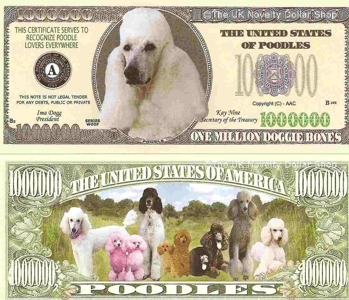 Poodle Dog Puppy Lovers One Million Dollar Bills x 2 Gift