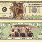 Yorkshire Terrier Dog Puppy Million Dollar Bills x 2