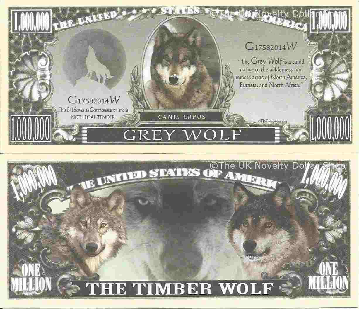 Grey Wolf Canis Lupus One Million Dollar Bills x 2 Timber Wolves