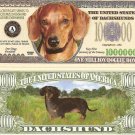 Dachshund Dog Puppy Million Dollar Bills x 2 Gift New