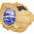 8-Pack  Solar SeaShell Spotlight 4 Super Bright WHITE