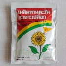 "Flower Food Brand" Roasted Sunflower Kernels 80 grams/Thai healthy food snack "Flower Food Brand" Roasted Sunflower Kernels 80 grams/Thai healthy food snack
