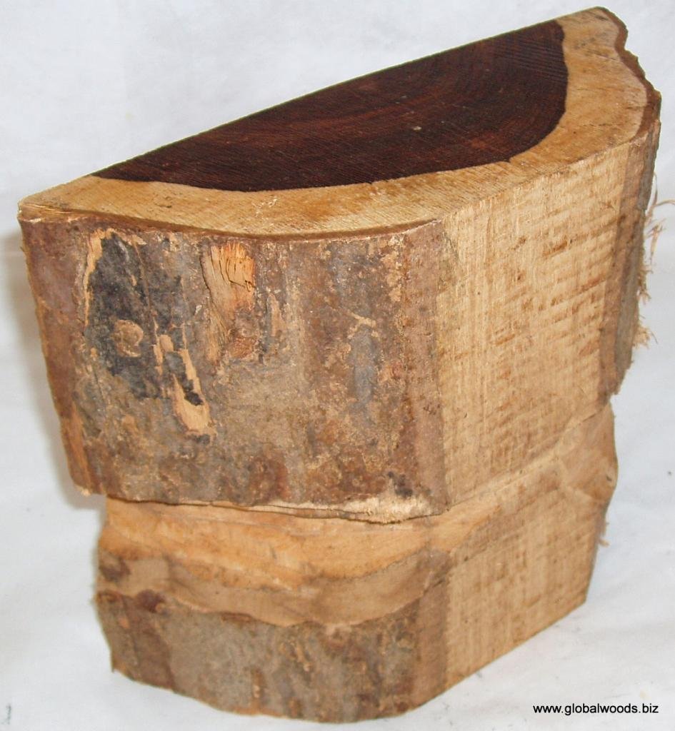Exotic Brazilian Kingwood Half Log Barked Wood Turning Stock