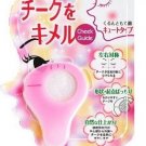 Cheek Guide- Blush Applicator
