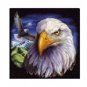 Queen Size Blanket - Eagle
