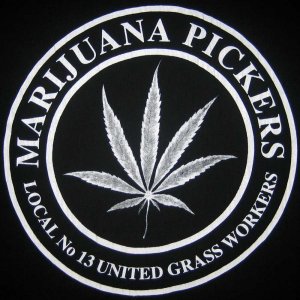 MARIJUANA PICKERS Long Sleeve Handprinted Large Cotton Shirt FREE SHIPPING
