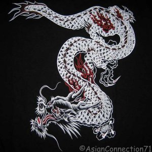 Japanese Classic RYU Dragon New T-Shirt Asian M Black