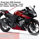 Kawasaki Ninja 250R 36040-5314-H8 OEM Right Tail Fairing Special Edition SE