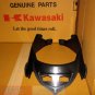 Kawasaki 55028-0229 Ninja 250R EX250 RADIATOR COWL OEM 08 09 10 11 12
