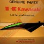 Kawasaki 36040-5357-H8 Ninja 250R EX250 OEM RH Right Tail Fairing SE Black Green Special Edition