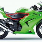 Kawasaki Ninja 250R 36001-0114-6Z OEM RIGHT RH Side Cover 08 09 10 11