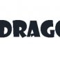 NORTH DRAGON Japanese Bikini Girl T-Shirt M Medium Dark Gray