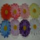 Flower Clips
