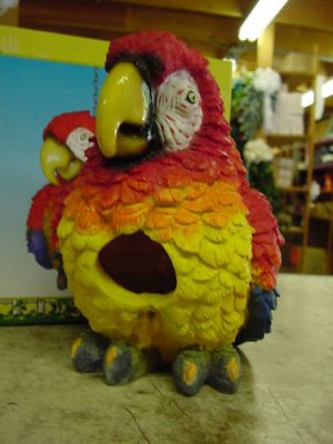 Macaw Poly Resin Bird House