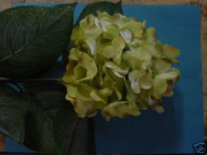6 Pcs. Lark Silk Flower Hydrangea Stems  Green
