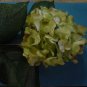 6 Pcs. Lark Silk Flower Hydrangea Stems  Green