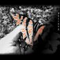 ORANGEBUTTERFLY