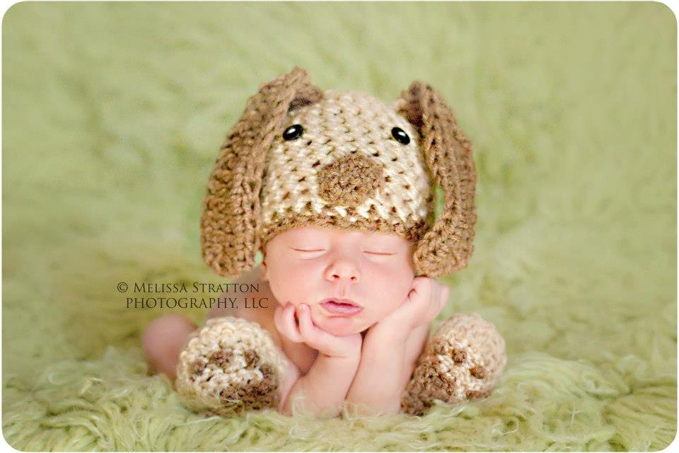 Newborn photo prop puppy hat and booties set photo prop halloween