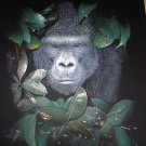 GORILLA WALL HANGING "NEW DESIGN"