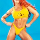 April Hunter WWE diva 4 x 6 color photo 6