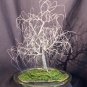 Poplar on Glass - wire tree sculpture, by Sal Villano