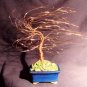 Gold Wind Swept, wire tree sculpture - by Sal Villano