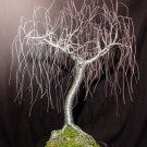 Geltle Willow - wire tree sculpture, by Sal Villano