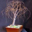 Small Bonsai Elm - wire tree sculpture, by Sal Villano