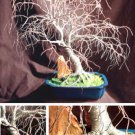 Hickory in Blue Base, wire tree sculpture