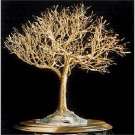 Golden Elm, wire tree sculpture - by Sal Villano