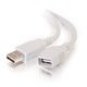 White USB Extension Cable - 3' long