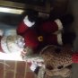 Santa Clause