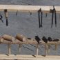 WOODWRIGHT BENCH & RACK with ACCESSORIES G-SCALE