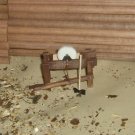 PEDAL GRINDER & ACCESSORIES G-SCALE