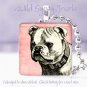 Spike collar Bulldog PINK dog Vintage B&W 1" sq pendant