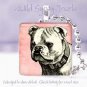 Spike collar Bulldog PINK dog Vintage B&W 1" sq pendant