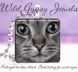 Grey Cat KITTEN Blue Eyes Glass Tile Pendant Necklace