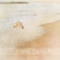 Belmar NJ Ocean beach sea sand gull 6x6 Fine Art Photographic PRINT made in USA