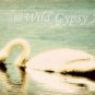 White Swan Aqua Lake Como NJ 5" x 7" HOT Fine Art Photographic PRINT made in USA