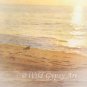 "Meeting the Dawn" 6" x 6" Fine Art Photographic PRINT sea gull ocean beach GIFT