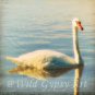 White Swan Lake Como NJ blue 6x6 Altered Fine Art Photographic PRINT made in USA