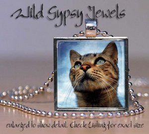 Orange Marmalade Cat Kitten Blue grey eyes 1" Glass Tile Metal Pendant Necklace