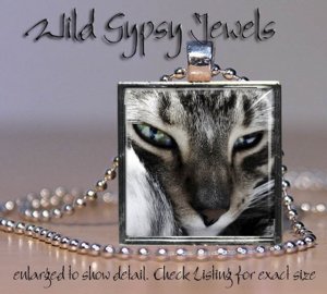 Grey Cat sweet cute KITTEN Aqua Blue Eyes 1" Glass Tile Metal Pendant Necklace