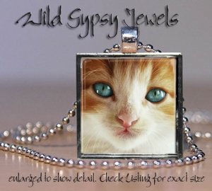 Cat sweet orange white cute KITTEN Green Eyes Glass Tile Metal Pendant Necklace