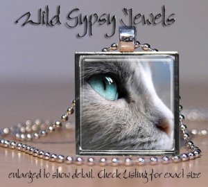 Gray Cat Lover sweet cute KITTEN aqua Eyes 1" Glass Tile Metal Pendant Necklace