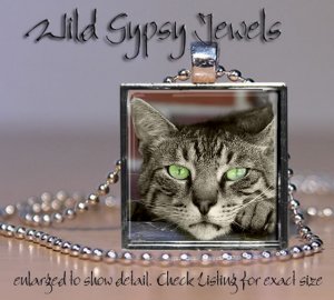 Cat sweet Tiger Tabby Grey KITTEN green Eyes Glass Tile Metal Pendant Necklace