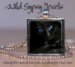 Cat sweet cute Black KITTEN brite blue Eyes 1" Glass Tile Metal Pendant Necklace