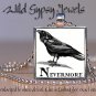Gothic Punk Edgar Allen Poe Nevermore Black Raven 1" glass tile pendant necklace