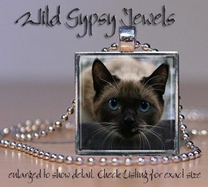 Cat Kitten Siamese Seal point cute chic 1" HOT glass tile metal pendant necklac