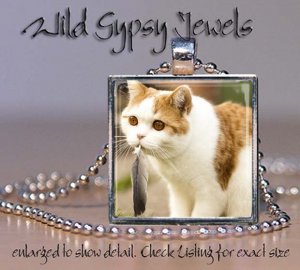 Cat Kitten Ginger white furry cute chic 1" HOT glass tile metal pendant necklac